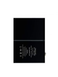 iPad Air Battery Replacement